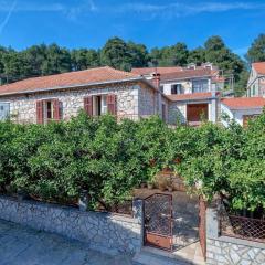 Holiday house with a parking space Svirce, Hvar - 17682