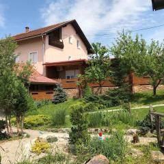 Family friendly apartments with a swimming pool Ostarski Stanovi, Plitvice - 17806