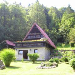 Holiday house with a parking space Gusti Laz, Gorski kotar - 17993