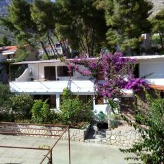 Apartments by the sea Ivan Dolac, Hvar - 18269