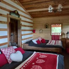 Chalet cocooning pleine nature