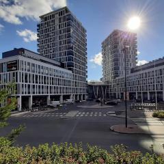 City Apartment with lake view and free parking