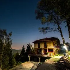 Chalet luxe 12 personnes SPA SAUNA VOSGES-GERARDMER