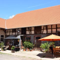 Grundmühle - Kleines Ferienappartement auf dem Ponyhof