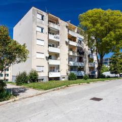 Apartments with WiFi Pula - 19493