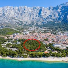 Apartments by the sea Makarska - 19558