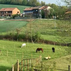 Appartamento in cascina -la cascinetta di Ali-