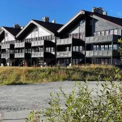 Beitotind sentralt på Beitostølen