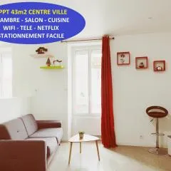 La Mimi, Grand T2 hyper centre ville