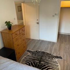 Central London Serviced Apartment near Borough station SE1