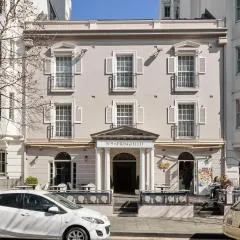 No 9 Springfield