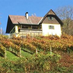 Malerisches Weingartenhäuschen in Kitzeck