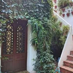 Apartamento Dama de Noche