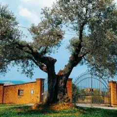 Casolare L'Antico Olivo