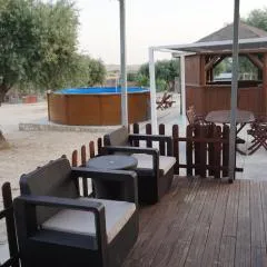 CUCHI FARM