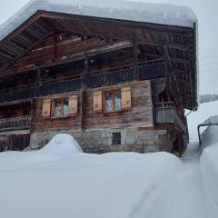 CHARMIEUX appartement en chalet typique