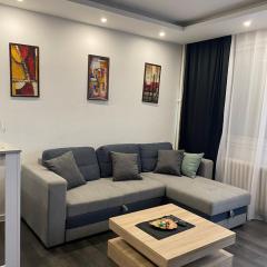 Apartman Mici