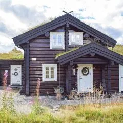 Beautiful Home In Rauland With Kitchen