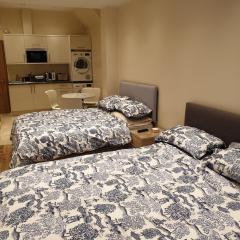 London Luxury 2 bed studio 4 mins from Ilford Stn - FREE parking, WiFi, garden access