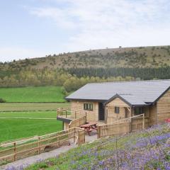 Offas Dyke Lodge - Uk10835