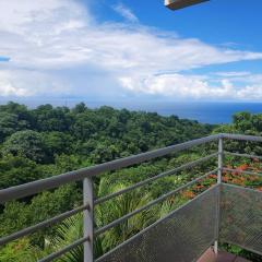 grand studio en bas de villa avec vue sur mer au Carbet