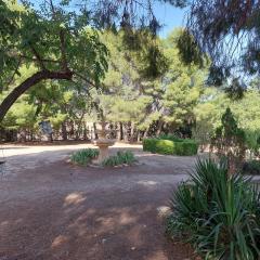 Casa Rural "La villa del pistacho"