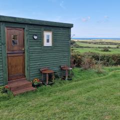 Stunning 1-Bed shepherd hut in Holyhead