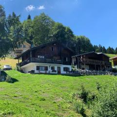 Ferienwohnungen im Blockhaus Metzler