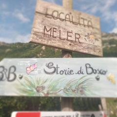 Storie di bosco