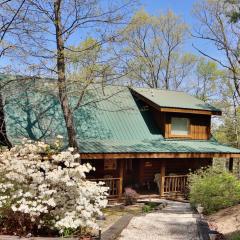 Elevated Expectations