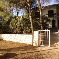 Apartments Krešo 5 meters from the beach with See view shadow and parking place