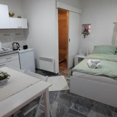 Studio apartman Centar