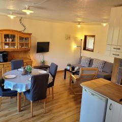 T3 duplex lumineux, proche pistes, parking, Wi-Fi - FR-1-598-23