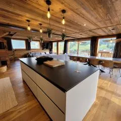 Chalet de luxe avec jacuzzi, sauna, parking et WIFI aux Gets - FR-1-598-19