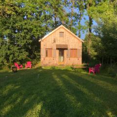 Tiny-House sous les arbres et les oiseaux