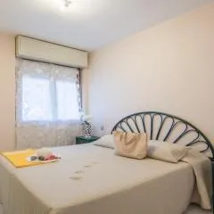 Cavalluccio Marino-Silvi Vacanza