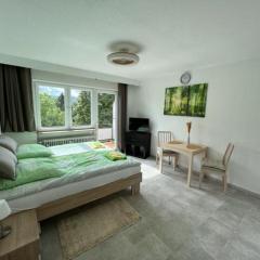 Ruhiges und klimatisiertes Apartment