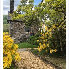 Hares Hideaway at Coed Moelfa