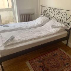 Modern 2-room flat in the city center