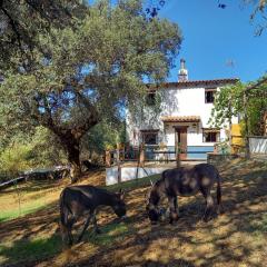 La Encina Casa Rural