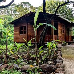 Wood Cabin - Cabana Maderas