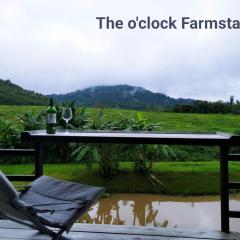 The O'clock Farmstay Khaokor