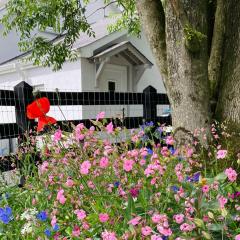 Beech Tree Cottage