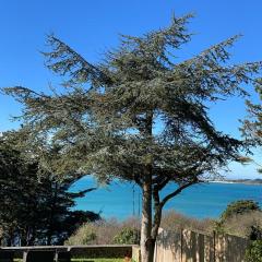 Maison vue exeptionnelle sur la mer