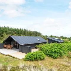 Holiday home Ringkøbing LXI