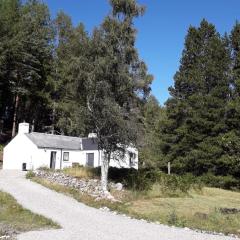 Torgoyle Cottage