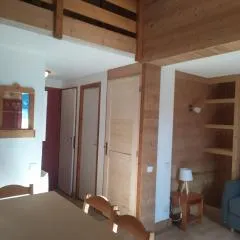 Duplex rénové pour 6/7 pers face aux pistes avec WiFi à Termignon - FR-1-508-222