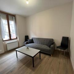 Appartement rénové à 15min de Lyon