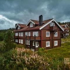 Great apartment in Trysil, ski inout, wifi, sauna