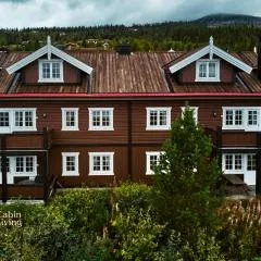 Flat in Trysil Ski in ski out and sauna